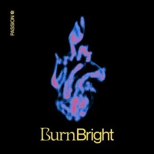 Burn Bright by Passion