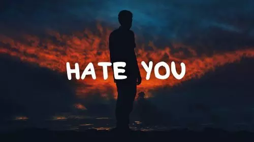 Hate You by Seann Bowe