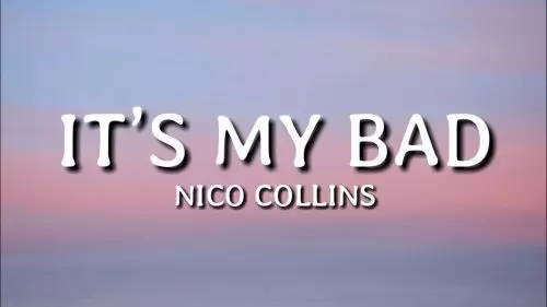 It’s My Bad by Nico Collins