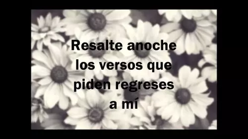 Antes De Huir by Natalia Lafourcade