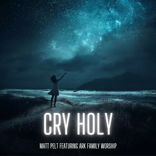 Matt Pelt - Cry Holy