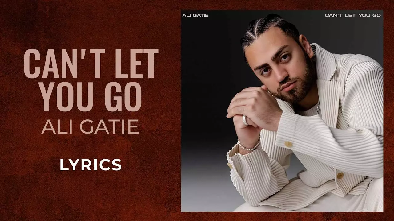 Ali Gatie - Can'T Let You Go