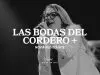 New Wine – Las Bodas Del Cordero + Novia RegocíJate