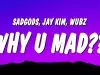 sadgods – Why U Mad? Ft. Jay Kim & wubz