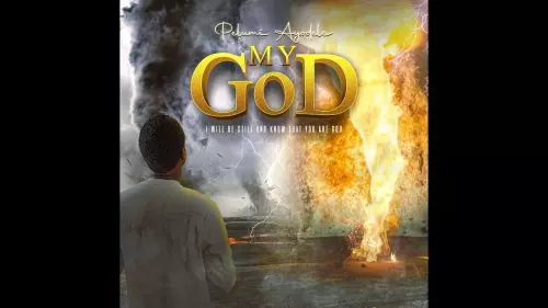 Pelumi Ayodele – My God