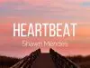 Shawn Mendes – Heartbeat