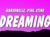 Marshmello, P!nk & Sting – Dreaming Ft. P!nk & Sting