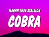 Megan Thee Stallion – Cobra