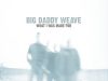 Big Daddy Weave – For Who You Are