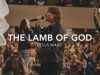 Jesus Image – The Lamb Of God